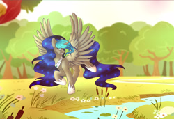 Size: 4093x2794 | Tagged: safe, artist:stormcloud-yt, oc, oc only, alicorn, pony, alicorn oc, ethereal mane, female, hoof shoes, horn, looking back, mare, outdoors, river, solo, starry mane, water, wings