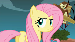 Size: 1280x720 | Tagged: safe, screencap, fluttershy, pegasus, pony, g4, putting your hoof down, season 2, butt, female, fluttershy is not amused, implied iron will, looking at you, mare, plot, solo, unamused