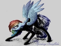Size: 604x453 | Tagged: safe, artist:sparkingsnowflake, artist:wacky-skiff, rainbow dash, pegasus, pony, fanfic:rainbow factory, g4, angry, black suit, bodysuit, clothes, dyed tail, evil, fanfic art, female, floppy ears, frown, gray background, gritted teeth, looking offscreen, rainbow factory dash, ready to fight, simple background, solo, spread wings, tail, wings