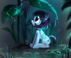 Size: 1270x1037 | Tagged: safe, artist:biotari, oc, oc only, oc:snowbi heart, pegasus, pony, crying, female, lilypad, looking up, mare, plant, sitting, solo