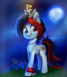 Size: 1141x1321 | Tagged: safe, artist:biotari, oc, oc only, oc:tiorafa, earth pony, pegasus, pony, duo, ear piercing, earring, grass, halo, jewelry, male, moon, necklace, night, piercing, size difference, small pony, smiling, stallion, wristband