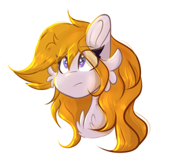 Size: 2102x1992 | Tagged: safe, artist:tizhonolulu, oc, oc only, oc:cookie byte, pegasus, pony, bust, cheek fluff, chest fluff, eye clipping through hair, eyebrows, eyebrows visible through hair, eyelashes, female, frown, high res, mare, pegasus oc, portrait, simple background, solo, white background