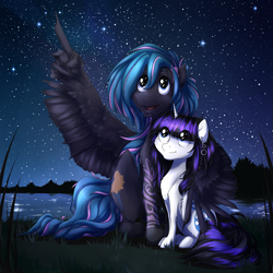 Size: 2449x2449 | Tagged: safe, artist:otkurzacz, oc, oc only, oc:arabesque, oc:morning gloom, pegasus, pony, unicorn, couple, ear piercing, earring, female, high res, hug, jewelry, male, mare, piercing, pointing, stallion, stargazing, starry night, wing hands, winghug, wings