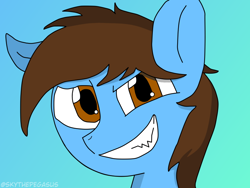 Size: 800x600 | Tagged: safe, artist:pegasusgamer, oc, oc only, oc:pegasusgamer, pegasus, pony, bust, looking at you, portrait, simple background, smiling, smirk