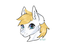 Size: 2160x1620 | Tagged: safe, artist:v-nuz, pony, bust, ear fluff, portrait, simple background, solo, transparent background