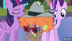 Size: 640x360 | Tagged: safe, screencap, spike, starlight glimmer, twilight sparkle, alicorn, dragon, pony, unicorn, g4, season 6, the times they are a changeling, animated, crystal empire, eyes closed, female, gif, gifs.com, male, mare, open mouth, shrunken pupils, stallion, sunglasses, twilight sparkle (alicorn)