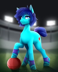 Size: 1728x2160 | Tagged: safe, artist:buvanybu, oc, oc only, oc:swift striker, earth pony, pony, ball, blue eyes, earth pony oc, hooves, shadow, signature, smiling, solo, standing