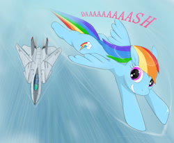 Size: 1700x1400 | Tagged: safe, artist:snk, rainbow dash, pegasus, pony, g4, f-14 tomcat, female, flying, grin, jet, jet fighter, jet plane, mare, smiling