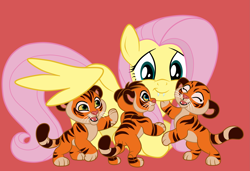 Size: 2885x1969 | Tagged: safe, artist:squipycheetah, fluttershy, big cat, pegasus, pony, tiger, g4, crossover, crouching, cub, cute, fangs, feliks, lunar new year, pasha, polina, red background, simple background, the lion guard
