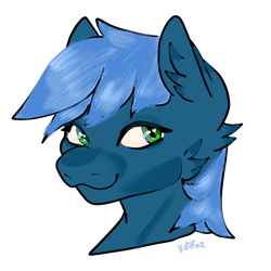 Size: 2048x2048 | Tagged: safe, artist:v-nuz, oc, oc only, oc:star paladin thunder, pony, fallout equestria, fallout equestria: falling ashes, high res, simple background, solo, transparent background