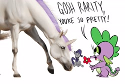 Size: 3000x2000 | Tagged: safe, artist:swagstapiece, rarity, spike, dragon, horse, pony, unicorn, g4, dialogue, eyelashes, fail, female, flower, high res, hoers, irl, irl horse, male, photo, ship:sparity, shipping, simple background, straight, white background