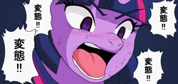 Size: 1176x560 | Tagged: safe, artist:tetsutowa, twilight sparkle, pony, unicorn, g4, blushing, hentai, japanese, open mouth, solo, volumetric mouth