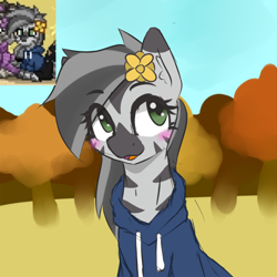 Size: 666x666 | Tagged: safe, artist:zebra, oc, oc only, oc:mahiro, pony, zebra, pony town, autumn, blushing, clothes, flower, flower in hair, hoodie, open mouth, ponerpics import, solo