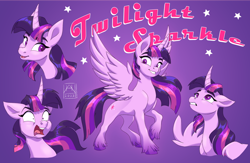 Size: 1024x669 | Tagged: safe, artist:bluefeathercat, twilight sparkle, alicorn, pony, g4, bust, colored pupils, portrait, solo, twilight sparkle (alicorn), unshorn fetlocks