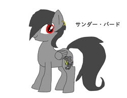 Size: 900x700 | Tagged: safe, artist:namaenonaipony, oc, oc only, pegasus, pony, hair over one eye, japanese, simple background, solo, white background