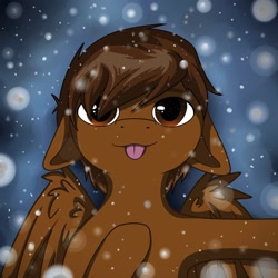 Size: 2160x2160 | Tagged: safe, oc, oc:mazz, pegasus, pony, :p, christmas, commission, cute, ears back, floppy ears, high res, holiday, licking, male, selfie, snow, snowfall, solo, stallion, tongue out, winter