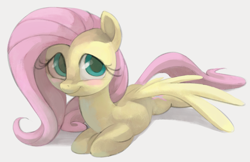 Size: 1251x810 | Tagged: safe, artist:dotkwa, fluttershy, pegasus, pony, g4, blushing, cute, female, looking at you, lying down, mare, prone, shyabetes, simple background, smiling, solo, spread wings, white background, wings
