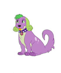 Size: 3600x4300 | Tagged: safe, artist:sashakruchkinatv, spike, spike the regular dog, dog, equestria girls, g4, collar, male, simple background, solo, spike the dog, tongue out, transparent background
