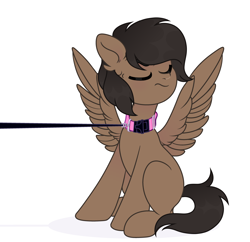 Size: 3888x3764 | Tagged: safe, artist:vi45, oc, oc only, oc:mazz, pegasus, pony, angry, collar, cute, eyes closed, high res, leash, pony pet, pulling, simple background, sitting, solo, spread wings, stubborn, submissive, white background, wings