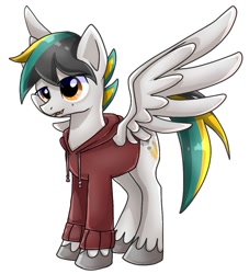 Size: 885x973 | Tagged: safe, artist:namaenonaipony, oc, oc only, pegasus, pony, clothes, jacket, simple background, solo, white background