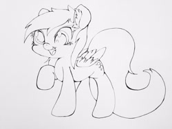 Size: 1024x768 | Tagged: safe, artist:zokkili, derpy hooves, pegasus, pony, g4, ear fluff, lineart, solo, traditional art