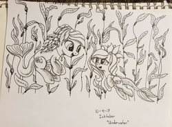 Size: 1200x884 | Tagged: safe, artist:vinylbecks, oc, oc only, merpony, pony, female, fish tail, flowing tail, inktober, looking at each other, looking at someone, monochrome, ocean, open mouth, seaweed, smiling, tail, traditional art, underwater, water