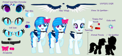 Size: 5520x2536 | Tagged: safe, artist:yulianapie26, oc, oc only, oc:eis gewitter, pegasus, pony, base used, colored wings, eyelashes, female, heterochromia, mare, pegasus oc, raised hoof, reference sheet, simple background, slit pupils, smiling, transparent background, two toned wings, wings