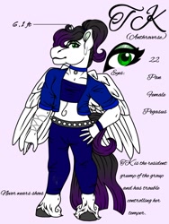 Size: 1000x1333 | Tagged: safe, artist:teonnakatztkgs, oc, oc only, pegasus, anthro, unguligrade anthro, choker, female, makeup, pegasus oc, pink background, reference sheet, simple background, solo, wings