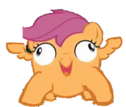 Size: 950x800 | Tagged: safe, artist:creamyogurt, scootaloo, crab pony, pony, g4, abomination, cursed image, meme, nightmare fuel, not salmon, simple background, solo, transparent background, wat