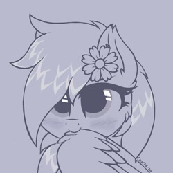 Size: 1280x1280 | Tagged: safe, artist:rieyadraws, derpibooru exclusive, oc, oc only, oc:jet blast, pegasus, pony, blushing, cute, ear fluff, flower, flower in hair, gray background, grooming, looking at you, nom, pegasus oc, preening, simple background, solo, wings