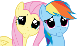 Size: 3160x1898 | Tagged: safe, artist:dasprid, fluttershy, rainbow dash, pegasus, pony, g4, season 4, trade ya!, .svg available, duo, female, mare, sad face, simple background, transparent background, vector