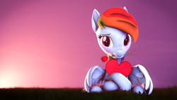 Size: 3840x2160 | Tagged: safe, artist:lagmanor, part of a set, rainbow dash, pegasus, pony, g4, 3d, blushing, dawn, embarrassed, female, flower, grass, grass field, heart, hearts and hooves day, high res, hoof hold, hooves, looking at you, mane, mare, mouth hold, rose, shy, sitting, solo, source filmmaker, sunrise