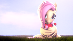 Size: 3840x2160 | Tagged: safe, artist:lagmanor, part of a set, fluttershy, pegasus, pony, g4, 3d, blushing, cute, daaaaaaaaaaaw, female, flower, grass, grass field, heart, hearts and hooves day, high res, holiday, hoof hold, hooves, looking at you, mane, mare, morning, mouth hold, rose, shy, shyabetes, sitting, smiling, smiling at you, solo, source filmmaker, valentine's day