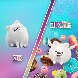 Size: 1080x1080 | Tagged: safe, cloudpuff, dog, flying pomeranian, pomeranian, g5, my little pony: a new generation, official, candy, cute, cyrillic, donut, fluffy, flying, food, meme, russia, russian, sitting, social media, sweets, translated in the description, vkontakte, winged dog, wings