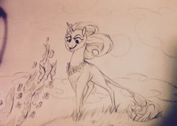 Size: 1416x1010 | Tagged: safe, artist:razledazle, oc, oc only, pony, unicorn, female, horn, lineart, mare, outdoors, smiling, solo, traditional art, unicorn oc