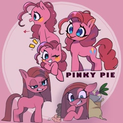 Size: 1000x1000 | Tagged: safe, artist:mametaro_m, pinkie pie, earth pony, pony, g4, arrow, beetroot, bust, emanata, female, full body, looking at something, looking at you, mare, one eye closed, partial background, pink background, pinkamena diane pie, plant, rock, simple background, text, wink, winking at you