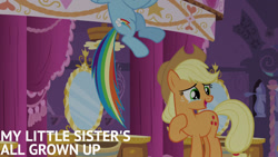 Size: 1280x720 | Tagged: safe, edit, edited screencap, editor:quoterific, screencap, applejack, rainbow dash, earth pony, pegasus, pony, g4, make new friends but keep discord, season 5, applejack's hat, carousel boutique, cowboy hat, crying, crying on the outside, duo, female, flying, hat, mare, offscreen character, open mouth, open smile, smiling, tears of joy, text