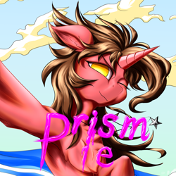 Size: 1434x1434 | Tagged: safe, artist:ktk's sky, oc, oc only, oc:prism pie, pony, unicorn, album cover, cloud, male, solo, water