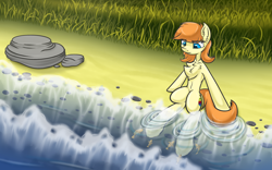 Size: 2880x1800 | Tagged: safe, artist:yufebwifbi, oc, oc only, earth pony, fish, pony, beach, chest fluff, legs in the water, solo