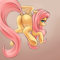 Size: 2000x2000 | Tagged: safe, artist:falses, fluttershy, pegasus, pony, g4, adorasexy, amazed, blushing, butt, cute, daaaaaaaaaaaw, digital art, dock, ears back, eyebrows, eyebrows visible through hair, eyes open, featureless crotch, female, flutterbutt, flying, folded wings, frog (hoof), gradient background, high res, legs, looking at you, looking back, looking back at you, mare, one wing out, open mouth, plot, raised tail, rear view, sexy, shading, shyabetes, sketch, solo, spread wings, surprised, tail, tail aside, thighs, underhoof, wings