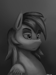Size: 1000x1346 | Tagged: safe, artist:vezja, rainbow dash, pegasus, pony, g4, abstract background, black and white, bust, female, grayscale, mare, monochrome, portrait, simple background, solo