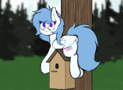 Size: 3000x2192 | Tagged: safe, artist:aaathebap, oc, oc only, oc:coral streak, pegasus, pony, behaving like a bird, bird house, cute, eye clipping through hair, folded wings, funny, high res, looking at you, lying down, no pupils, pegasus oc, prone, solo, tail, wings