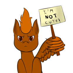 Size: 1000x1000 | Tagged: safe, artist:windy, oc, oc only, oc:windflyer, pegasus, pony, annoyed, blatant lies, colored pupils, i'm not cute, lidded eyes, looking at you, male, sign, simple background, solo, stallion, text, transparent background, wing hands, wing hold, wings