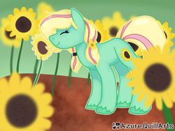 Size: 1600x1200 | Tagged: safe, artist:azure-quill, oc, oc only, earth pony, pony, female, flower, mare, solo, sunflower