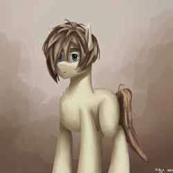 Size: 1500x1500 | Tagged: safe, artist:vezja, oc, abstract background, chest fluff, commission, male, missing cutie mark, shy, signature, simple background, solo, stallion, standing