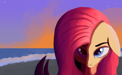 Size: 4530x2800 | Tagged: safe, artist:tazool, fluttershy, pegasus, pony, g4, beach, female, looking at you, mare, solo, sunset