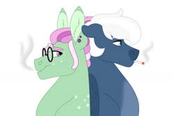 Size: 1280x854 | Tagged: safe, artist:itstechtock, oc, oc only, oc:herbal remedy, oc:snowfall smoking, pony, cigarette, glasses, male, offspring, parent:double diamond, parent:night glider, parent:tree hugger, parents:nightdiamond, simple background, stallion, white background
