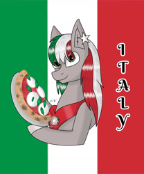 Size: 1280x1536 | Tagged: safe, artist:hiroultimate, oc, pony, flag, food, italy, nation ponies, pizza, ponified, solo