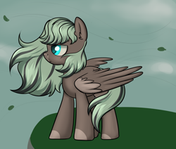Size: 2600x2200 | Tagged: safe, artist:dumbwoofer, oc, oc:forest air, pegasus, pony, dyed mane, female, high res, hill, leaves, looking offscreen, mare, sky, solo, wind