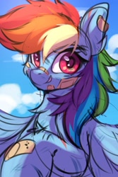 Size: 2000x3000 | Tagged: safe, artist:ask-colorsound, rainbow dash, pegasus, pony, g4, bandaid, bandaid on nose, cloud, cute, dashabetes, female, high res, injured, mare, scratches, sky, smiling, smirk, solo